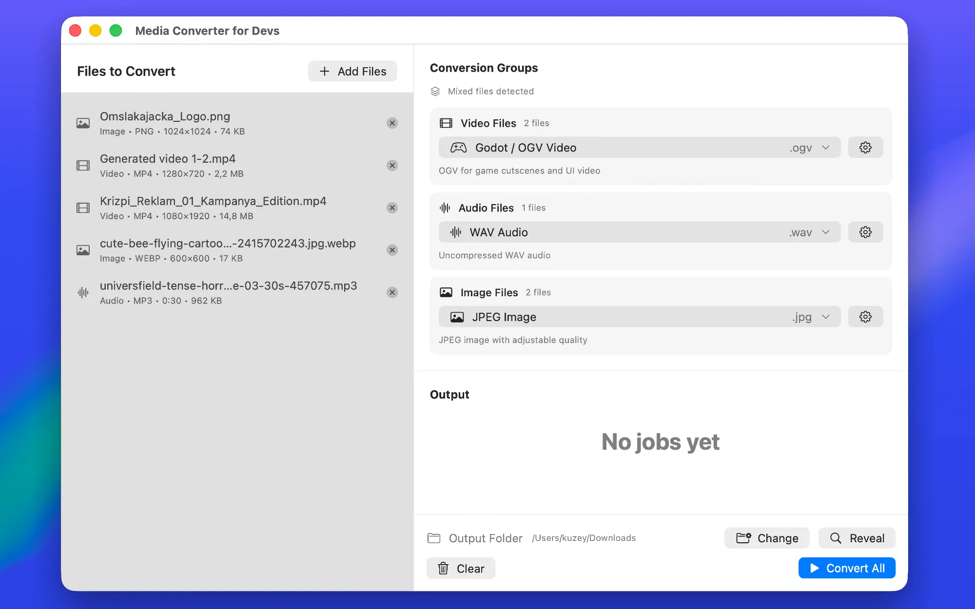 Media Converter for Devs app screenshot